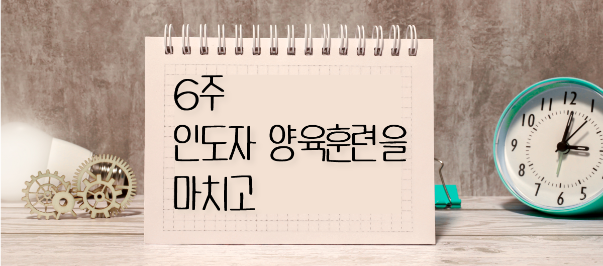 2ff24d27efcfeab097711400cf3100c9_1727271899_2626.png